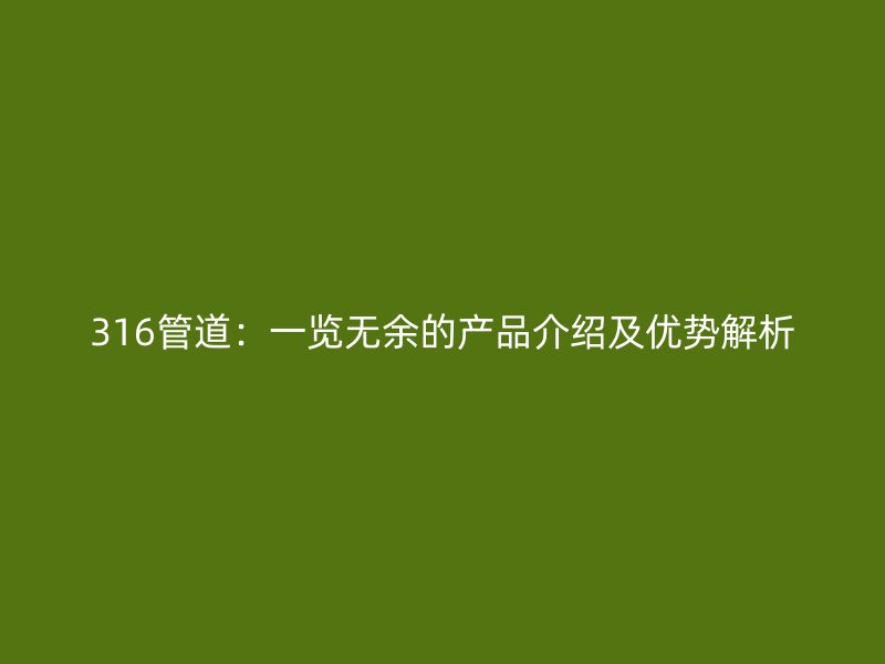 316管道：一覽無余的產品介紹及優勢解析