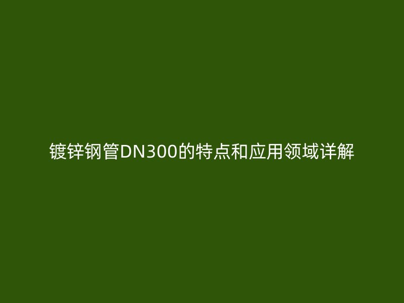 鍍鋅鋼管DN300的特點和應用領域詳解