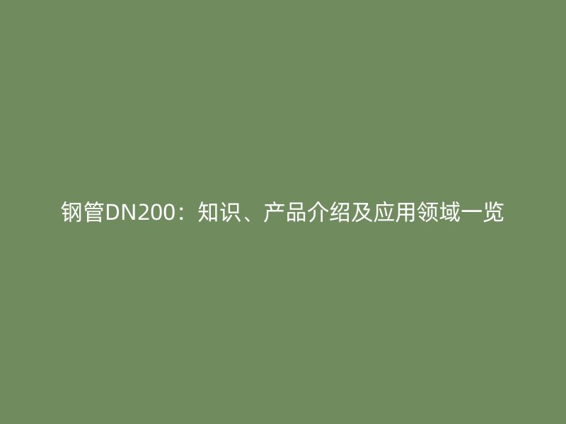 鋼管DN200：知識、產品介紹及應用領域一覽