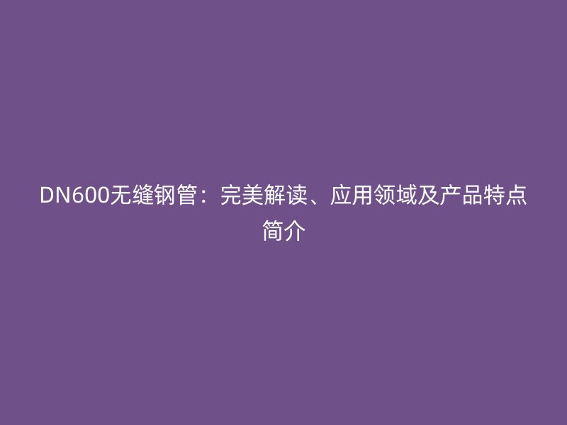 DN600無縫鋼管：完美解讀、應用領域及產品特點簡介