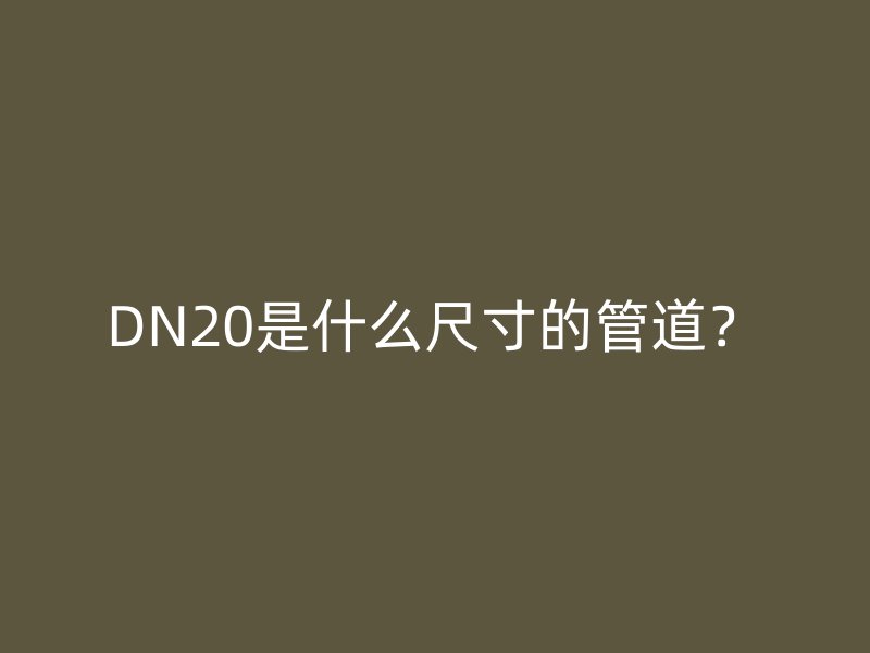DN20是什么尺寸的管道？